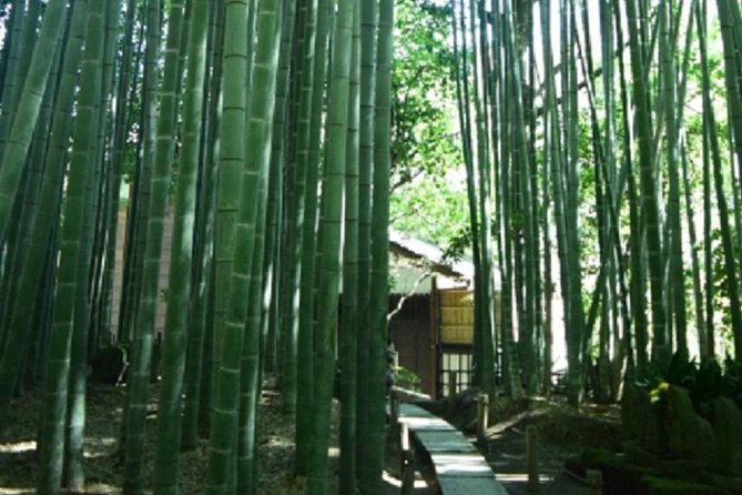 Kamakura Bamboo Forest and Great Buddha Private Tour - Recap