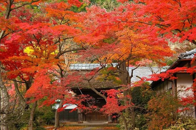 Kamakura Private Photoshoot Tour ( Optional Kimono Wearing ) - Frequently Asked Questions