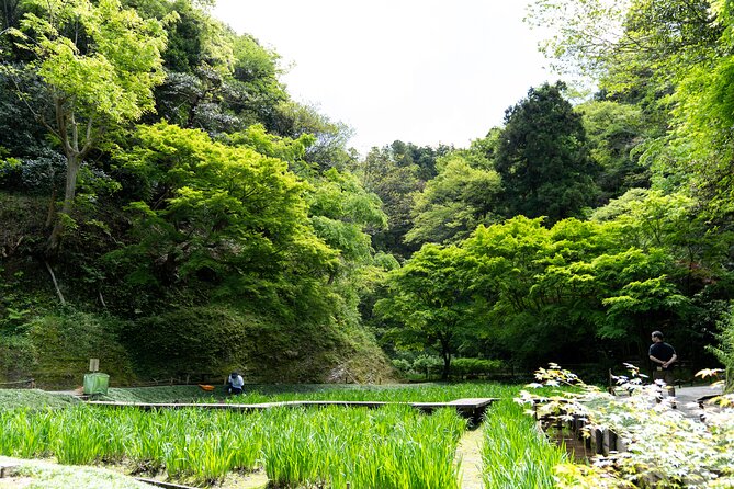 Kamakura Temples and Enoshima Private Tour - Frequently Asked Questions