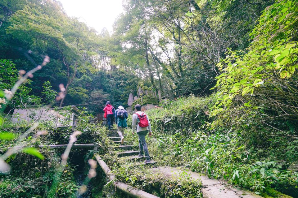 Kyoto: 3-Hour Fushimi Inari Shrine Hidden Hiking Tour - Customer Reviews