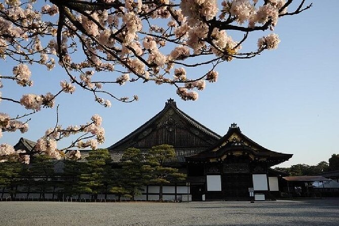 Kyoto and Nara 1 Day Trip - Golden Pavilion and Todai-Ji Temple From Kyoto - Frequently Asked Questions