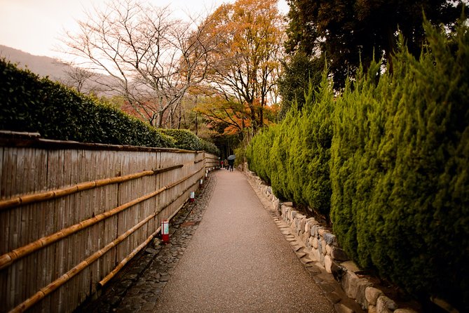 Kyoto Bamboo Forest Electric Bike Tour - Recap