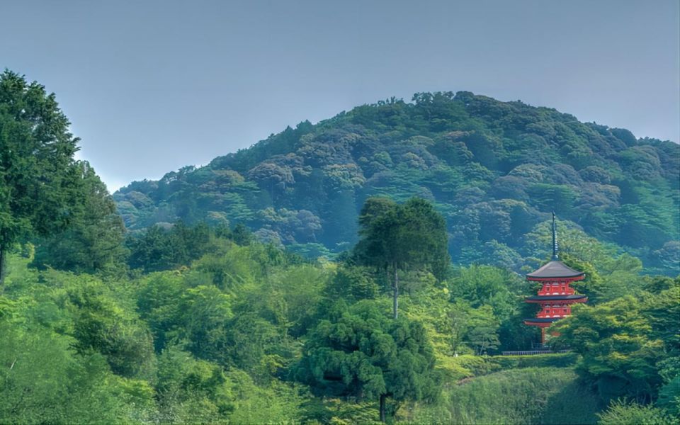 Kyoto: Customizable Private Tour With Hotel Transfers - Frequently Asked Questions