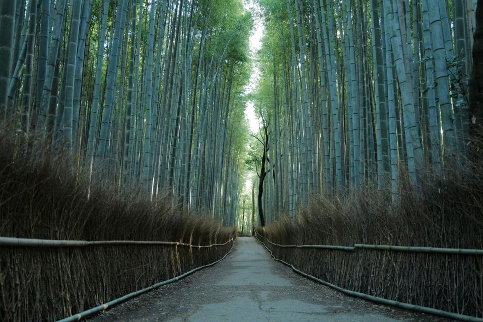 Kyoto: Early Morning Tour With English-Speaking Guide - Background