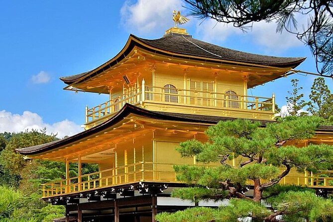 Kyoto, Osaka, Nara Private Tour by Car English Driver Guide - Accessibility Information