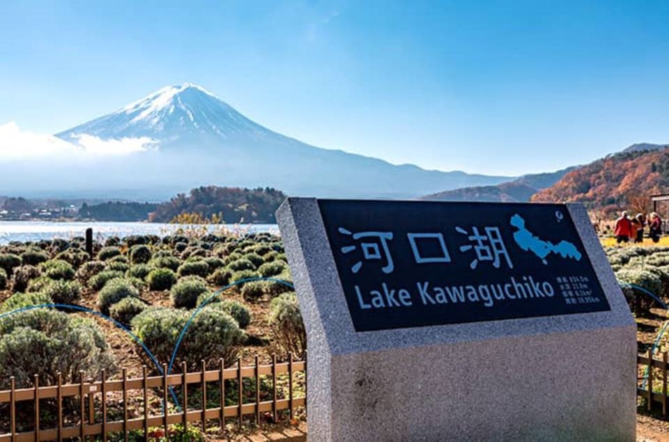 Lake Kawaguchi From Tokyo Express Bus Oneway/Roundway - Recap