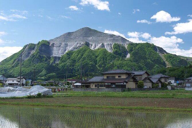 Mikoshi, a Portable Shrine Into the River! Chichibu Kawase Fest. - Recap