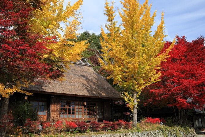 Mount Fuji & Hokane Lakes With English-Speaking Guide - Recap