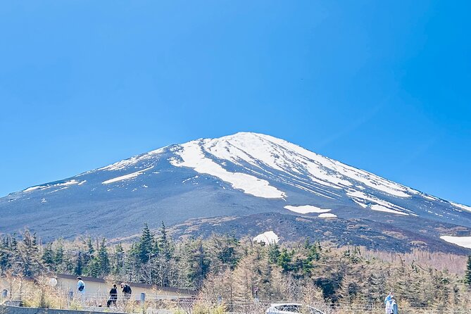 Mount Fuji Private One Day Tour With English Speaking Driver - Recap