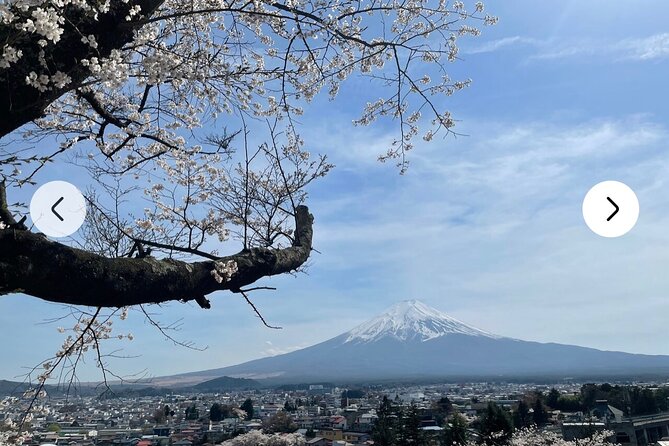 Mt. Fuji, Hakone Full-Day Private Tour With English Driver Guide - Recap