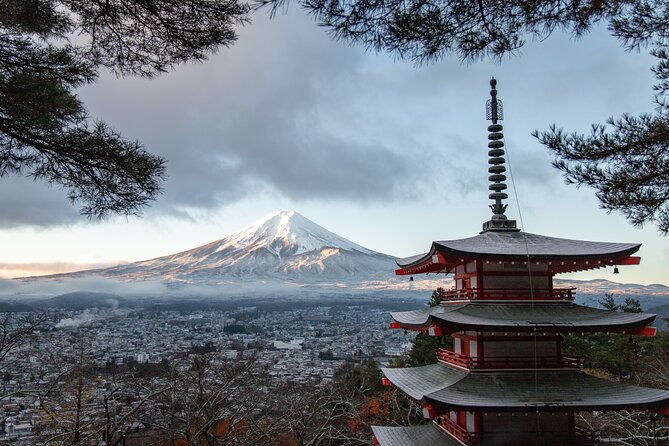 Mt Fuji, Hakone Private Tour by Car With Pickup - Cancellation Policy and Refunds