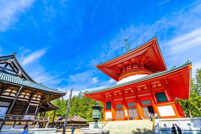 Mt. Koya 8hr Tour From Osaka: English Speaking Driver, No Guide - Pricing and Booking