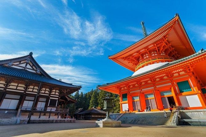 Mt. Koya Sacred Half-Day Private Tour With Government Licensed Guide - Recap