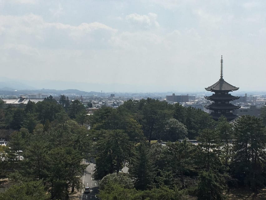 Nara: Half-Day Private Guided Tour - Frequently Asked Questions