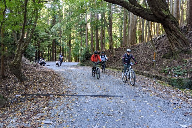 Nara - Heart of Nature Bike Tour - Recap