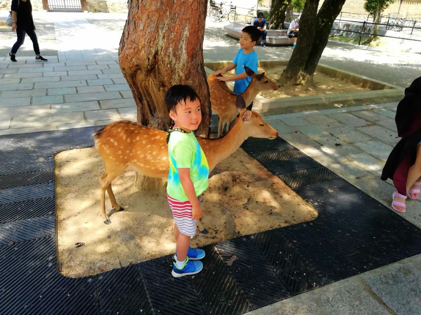 Nara: Nara Park Private Family Bike Tour With Lunch - The Sum Up