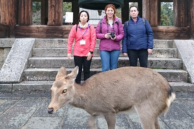 Nara Todaiji Lazy Bird Tour - Recap