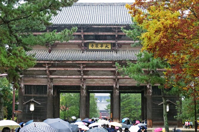 Nara World Heritage Private Tour - Recap