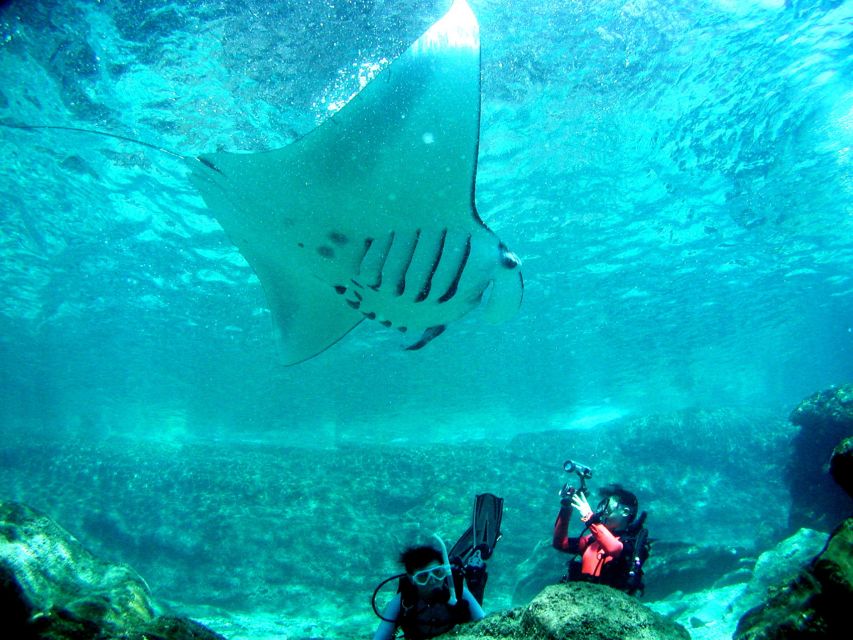 National Park Kerama Islands 2 Boat Fan Diving (With Rental) - Customer Feedback