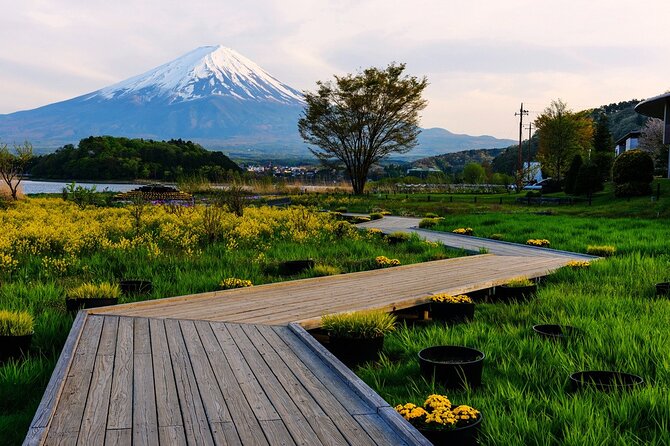 One Day Private Tour of Mt Fuji With English Speaking Driver - Frequently Asked Questions