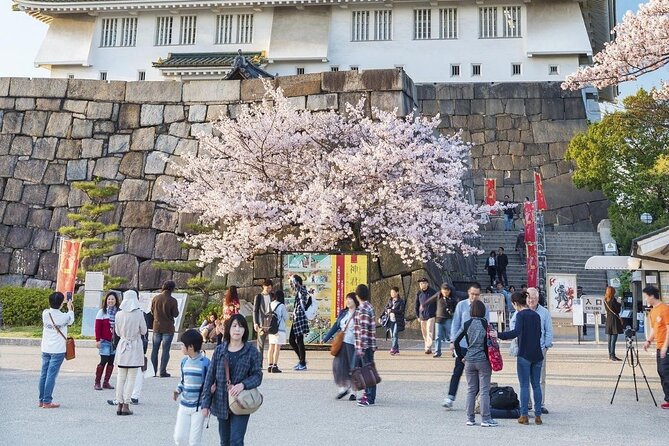 Osaka Cherry Blossom Tour With a Local: 100% Personalized Private - Frequently Asked Questions