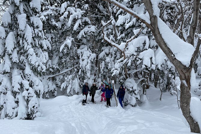 Private Snow Shoe Tour in Shiretoko National Park - Tour Experience