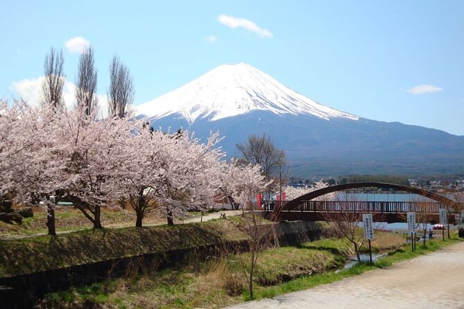 Private Tour to Mount Fuji With an English Driver From Tokyo - Frequently Asked Questions