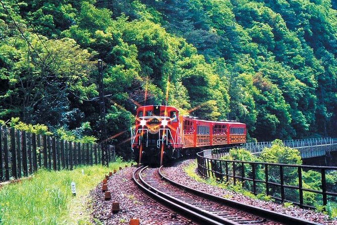 Sagano Romantic Train & Arashiyama, Kiyomizudera, Fushimi Inari Taisha Day Tour - Tips for a Memorable Experience