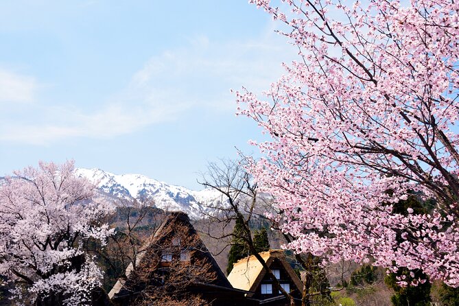 Shirakawa-Go From Nagoya One Day Bus Self-Guided Tour - Frequently Asked Questions