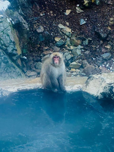 Snow Monkey Park & Zenkoji Temple One Day Trip - Accessibility & Language Options