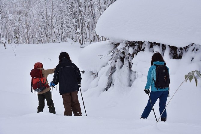 Snowshoe Hike Tour From Sapporo - Reservation and Cancellation