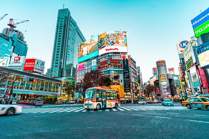 Tokyo by Yourself With English Speaking Driver by Van -4 or 8 Hrs - Recap