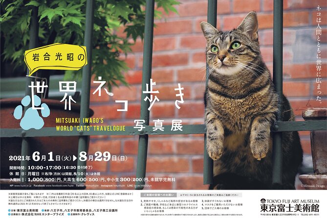 Tokyo Fuji Art Museum Admission Ticket + Special Exhibition (When Being Held) - Recap