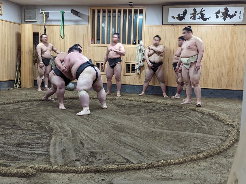 Tokyo: Morning Sumo Practice Viewing - Sumo Practice Routine