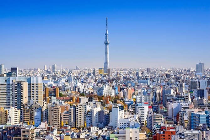 Tokyo Private Sightseeing Tour by English Speaking Chauffeur - Booking and Cancellation Policy