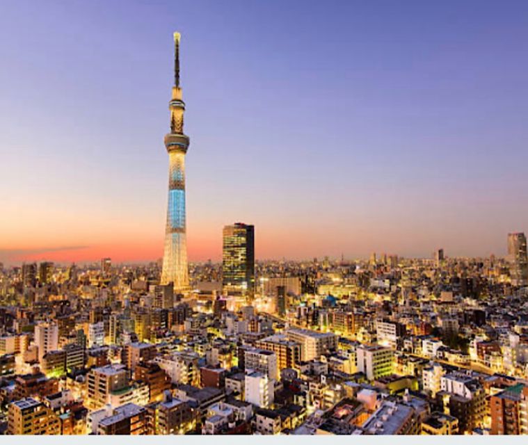 Tokyo Private Tour: Customizable (Up-To 6 Persons) - Customer Experience