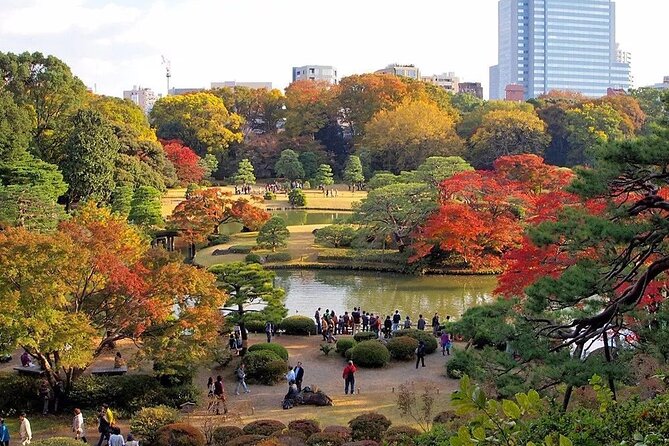 Tokyo Self-Guided Audio Tour - Accessibility and Transportation