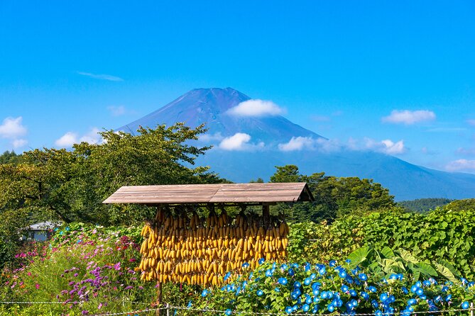 Tokyo to Hakone: Mt.Fuji, Owakudani, Oshino Hakkai, and More - Return to Tokyo