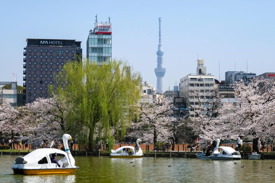 Tokyo: Ueno Fully Comprehensive Tour. Ueno Park to Izakaya. - Important Information