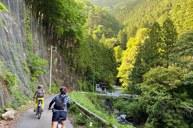 Tokyos Hidden Nature Cycling Tour - Okutama Historical Road Tour - Recap