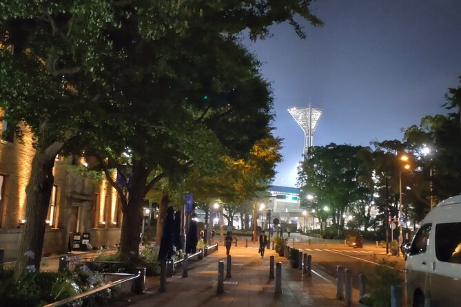 Yokohama Private Tour -Night View- - Frequently Asked Questions