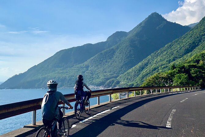 4 Hour Guided Cycling Experience in Yakushima - Frequently Asked Questions