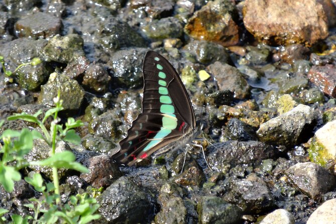 Easygoing Nature Walk in Hakone Tour - End Point