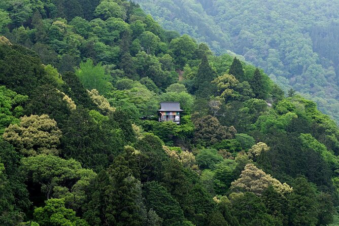 Explore Arashiyama Bamboo Forest With Authentic Zen Experience - Recap