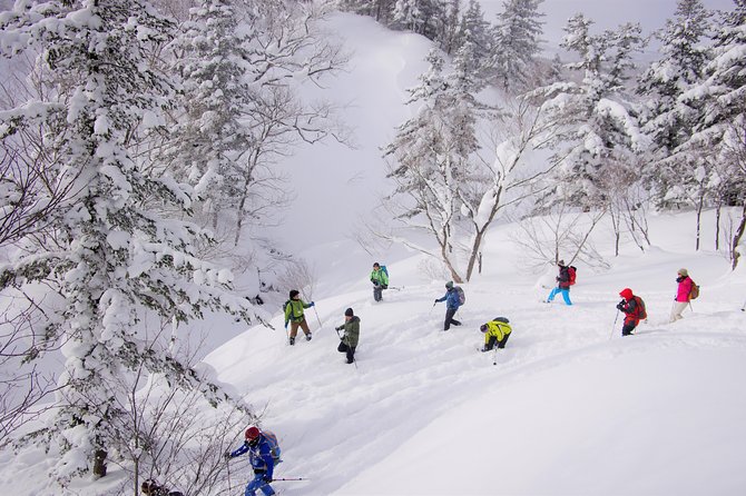 Fluffy New Snow and the Earth Beating, Goshougake Oyunuma Snowshoeing Tour - Recap