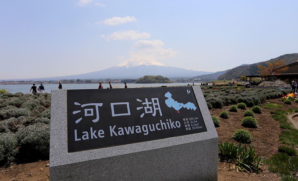 From Tokyo: Mt Fuji and Hakone Customizable Private Day Trip - Accessibility and Group Size