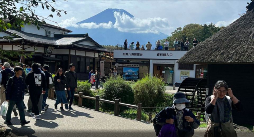 From Tokyo: Mt. Fuji Sightseeing Private Day Tour - Accessibility and Cancellation