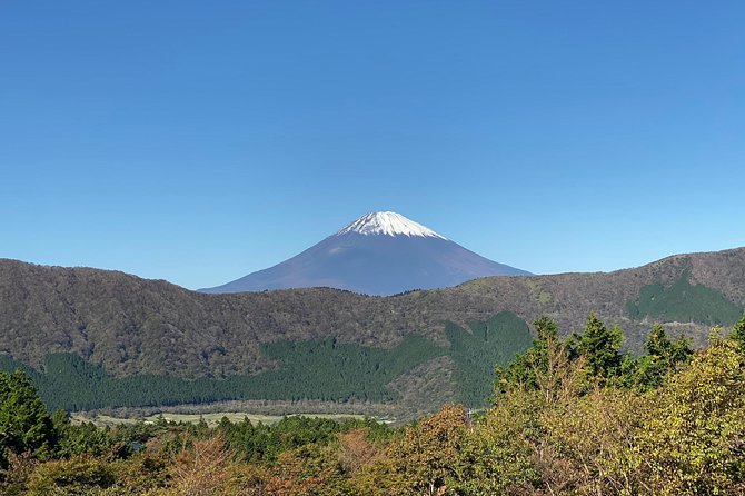 Fuji Kawaguchiko Hakone Private Car Tour - Recap