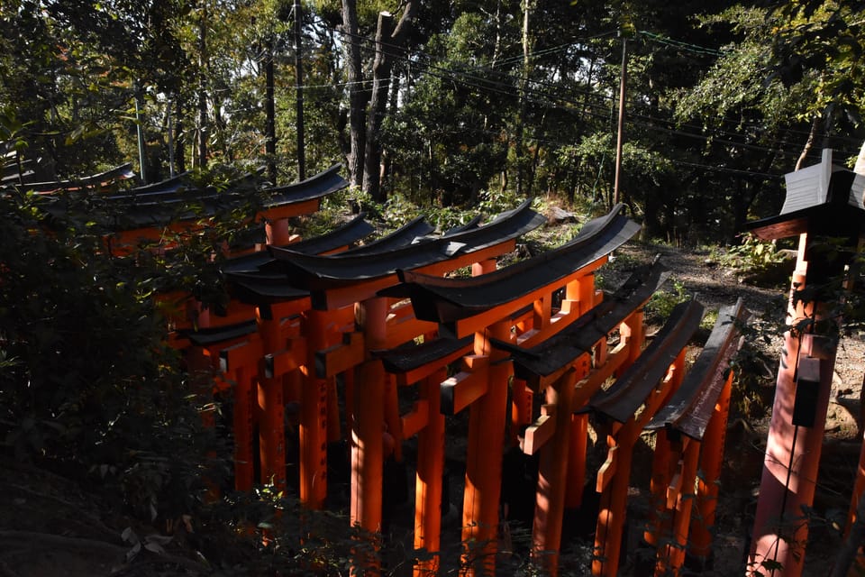 Inside of Fushimi Inari - Exploring and Lunch With Locals - Recap