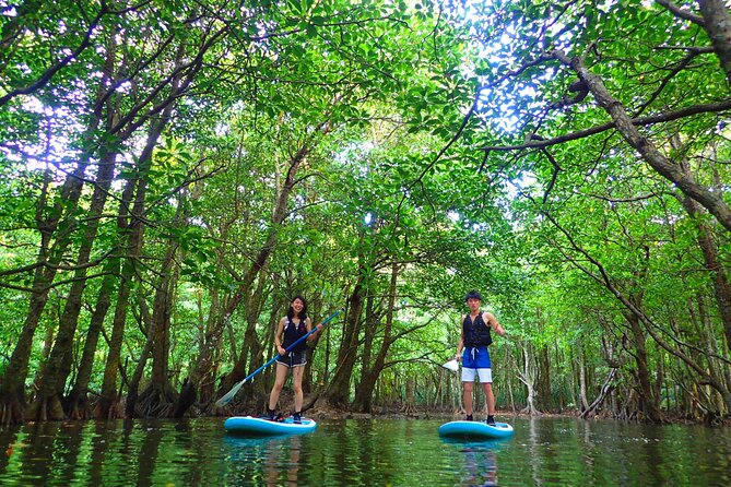 [Iriomote]Sup/Canoe Tour + Sightseeing in Yubujima Island - Frequently Asked Questions